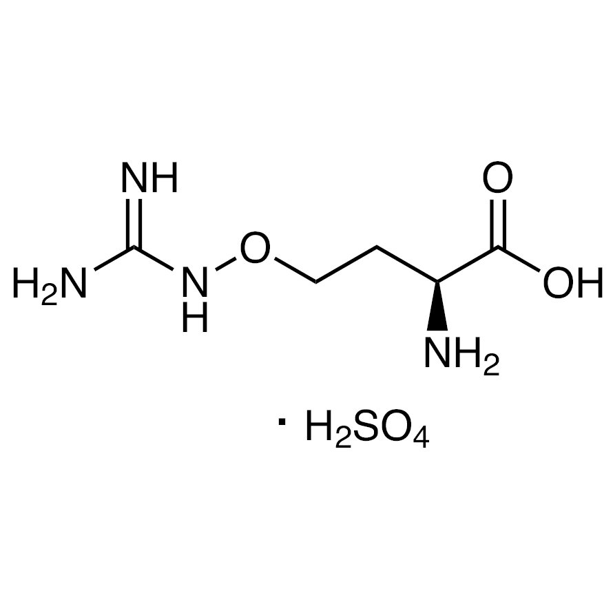 L-Canavanine Sulfate >97.0%(T) - CAS 2219-31-0