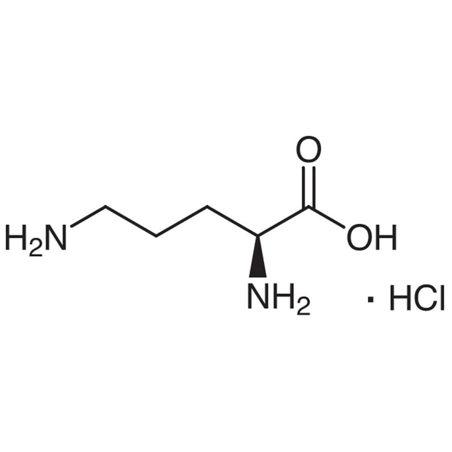 L-Ornithine Monohydrochloride >98.0%(T)(HPLC) - CAS 3184-13-2