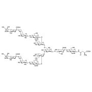 SGN >95.0%(HPLC) - CAS 68141-38-8