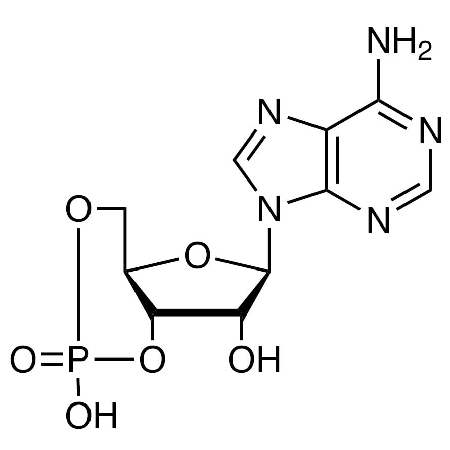 Adenosine 3',5'-Cyclic Monophosphate >99.0%(HPLC) - CAS 60-92-4