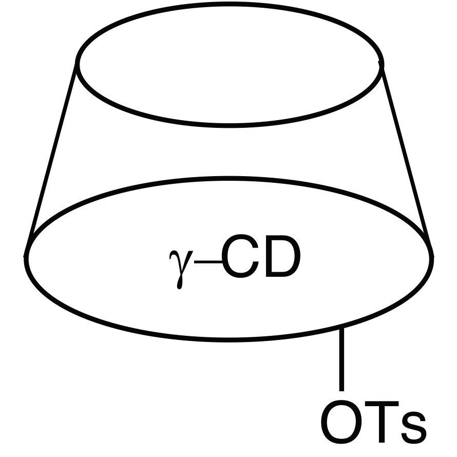 Mono-2-O-(p-toluenesulfonyl)-γ-cyclodextrin >95.0%(HPLC) - CAS 97227-32-2