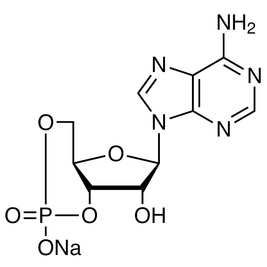 Adenosine 3',5'-Cyclic Monophosphate Sodium Salt >98.0%(HPLC) - CAS 37839-81-9