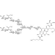Sialylglycopeptide >95.0%(HPLC) - CAS 189035-43-6