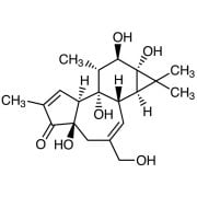 Phorbol >98.0%(HPLC) - CAS 17673-25-5