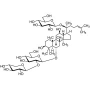 Notoginsenoside R1 >98.0%(HPLC) - CAS 80418-24-2