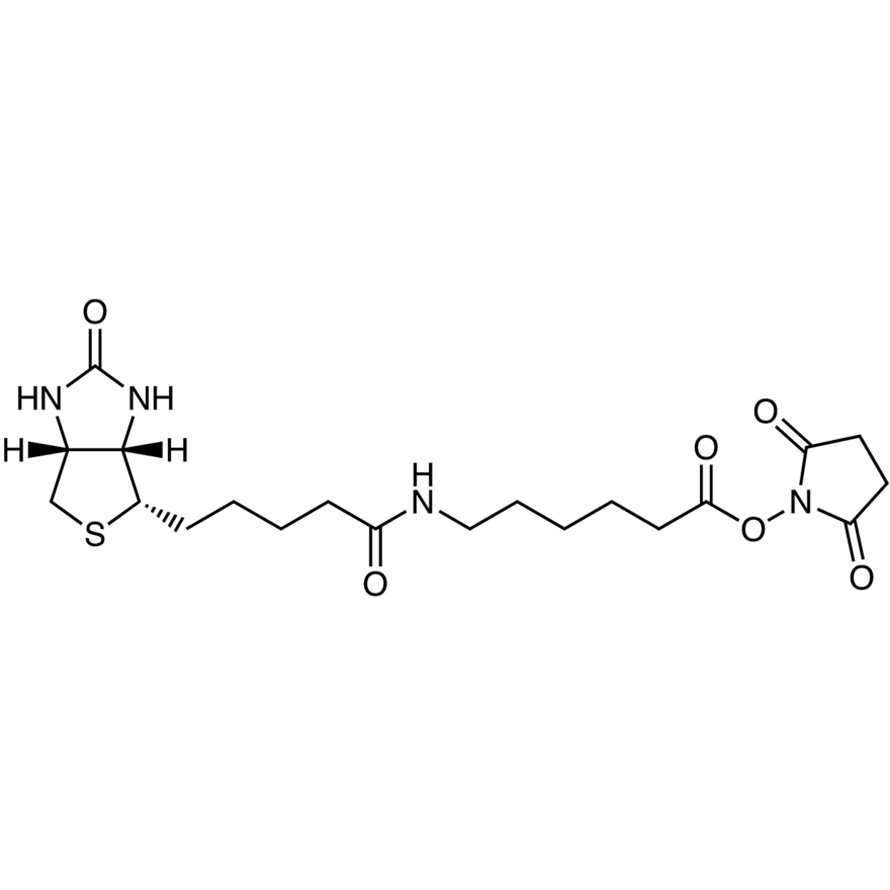 N-Succinimidyl 6-Biotinamidohexanoate >97.0%(HPLC) - CAS 72040-63-2
