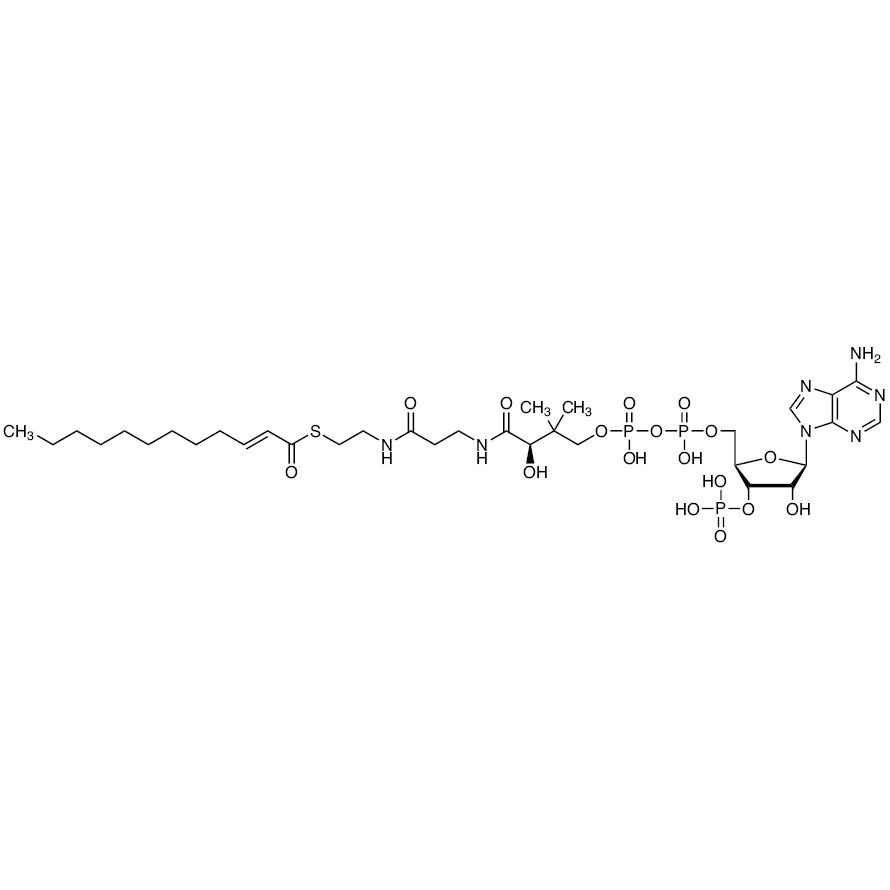 2-trans-Dodecenoyl-Co A >86.0%(HPLC) - CAS 1066-12-2