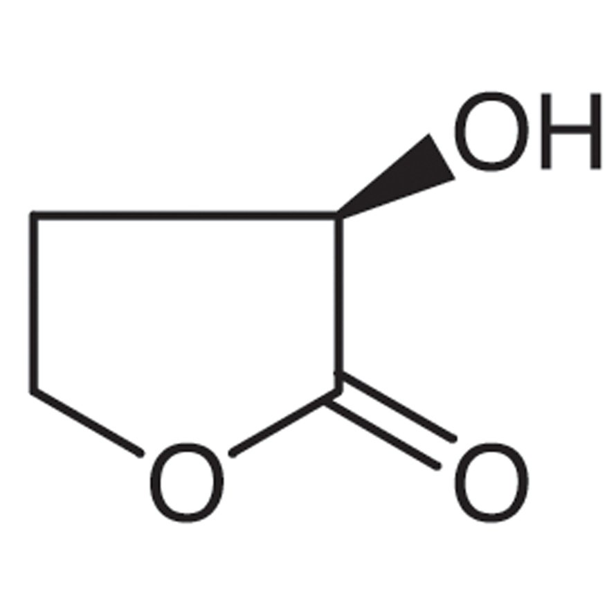 (R)-(+)-α-Hydroxy-γ-butyrolactone >98.0%(GC) - CAS 56881-90-4