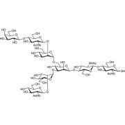 6-G1 Glycan  - CAS 109050-95-5