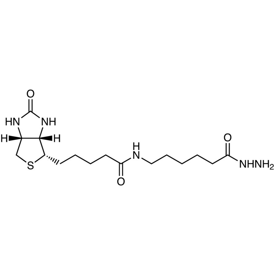 N''-Biotinyl-6-aminohexanoylhydrazide >97.0%(HPLC) - CAS 109276-34-8