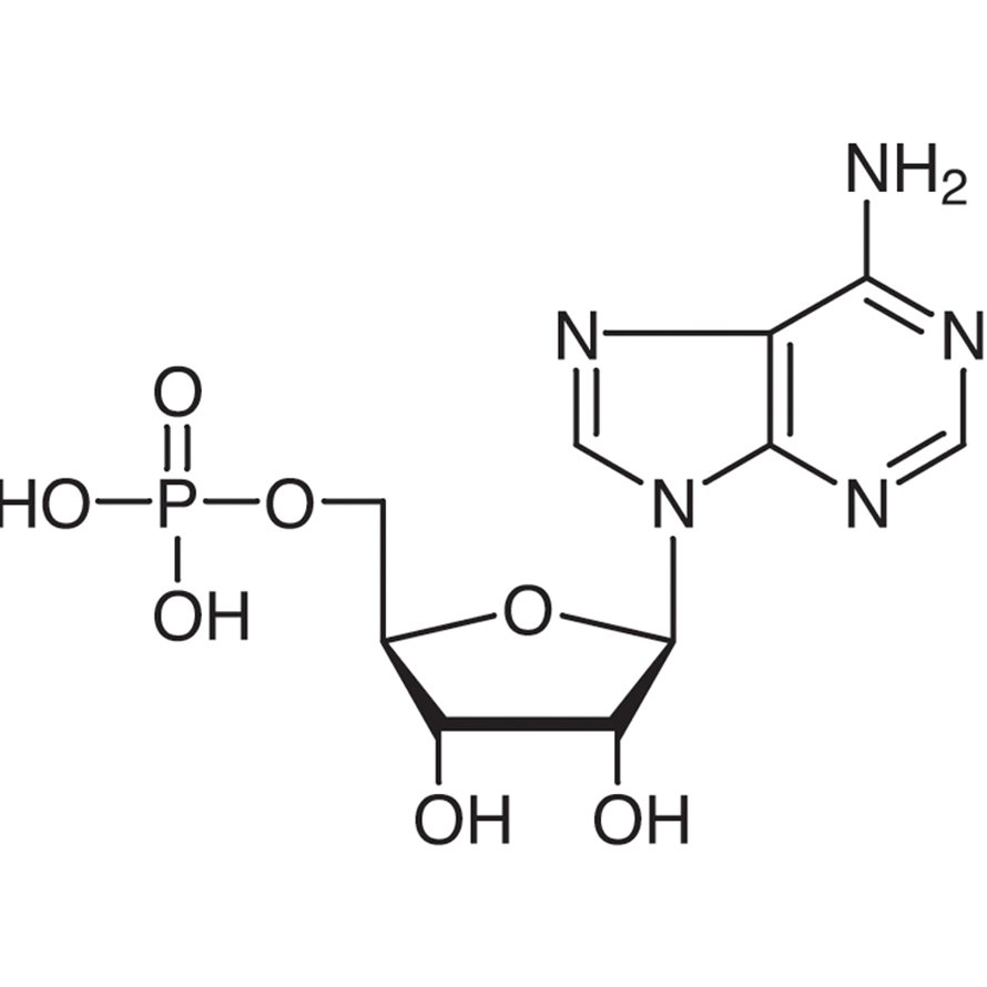 5'-Adenylic Acid >98.0%(T)(HPLC) - CAS 61-19-8