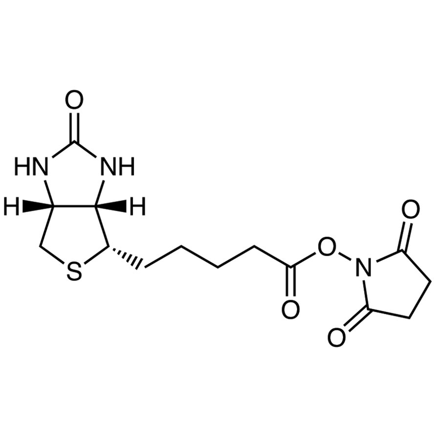 N-Succinimidyl D-Biotinate >97.0%(HPLC)(N) - CAS 35013-72-0
