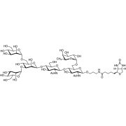 M3(Fuc6)-biotin  - CAS 1995898-20-8