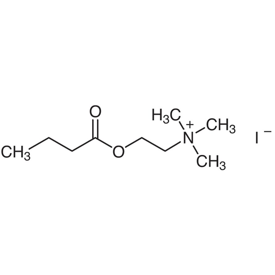 Butyrylcholine Iodide >99.0%(T) - CAS 2494-56-6