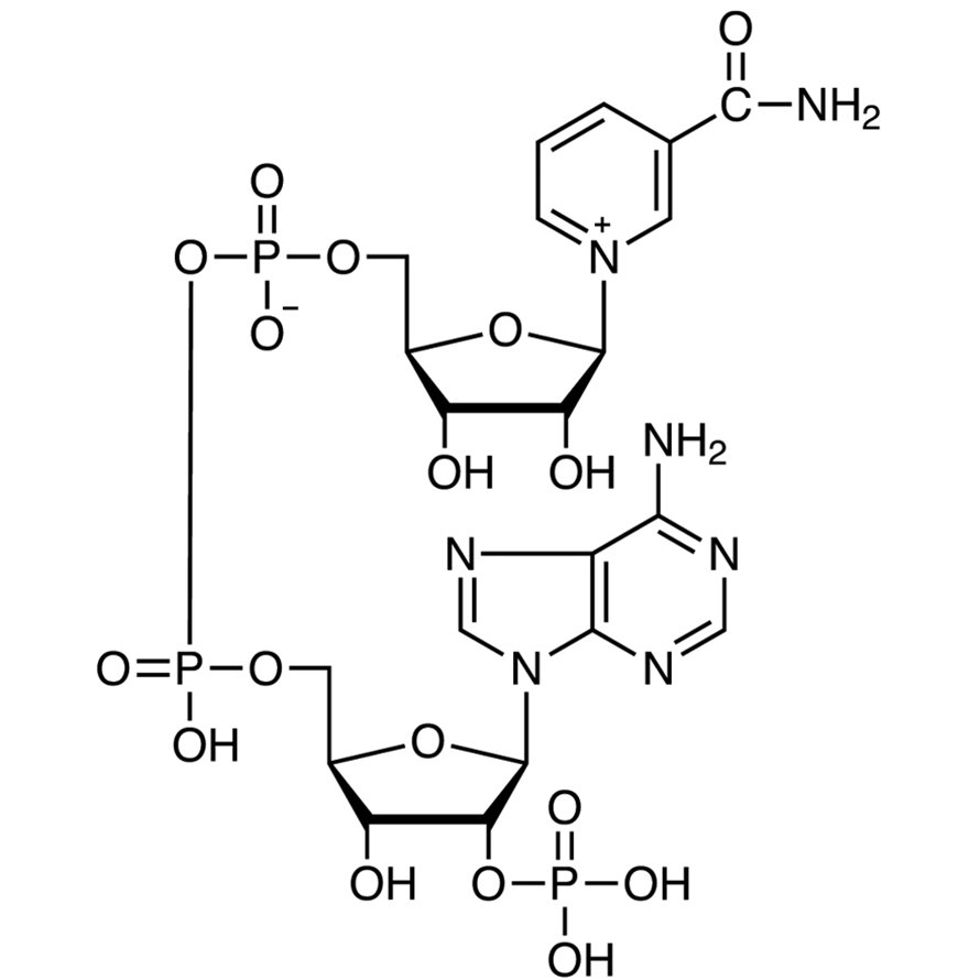 β-Nicotinamide Adenine Dinucleotide Phosphate [for Biochemical Research] >83.0%(HPLC) - CAS 53-59-8