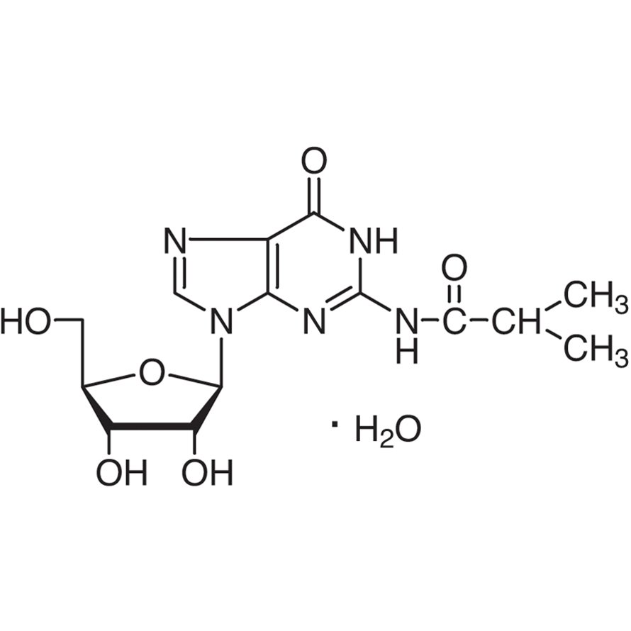N2-Isobutyrylguanosine Monohydrate  - CAS 64350-24-9