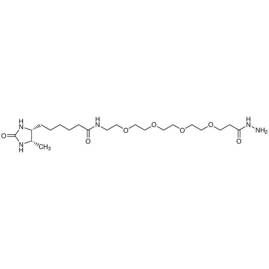 Hydrazide-PEG4-Desthiobiotin >90.0%(HPLC)