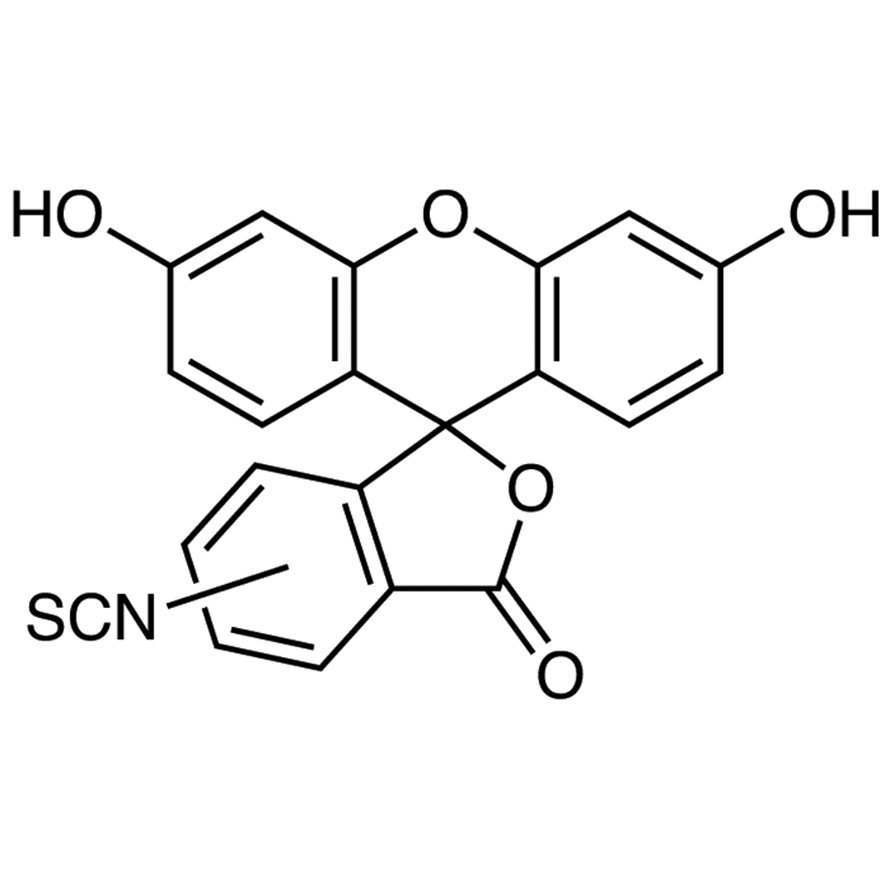 Fluorescein Isothiocyanate (mixture of 5- and 6- isomers) >97.0%(T)(HPLC) - CAS 27072-45-3