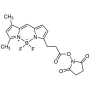 BDP FL NHS Ester (1mg×3)  - CAS 146616-66-2